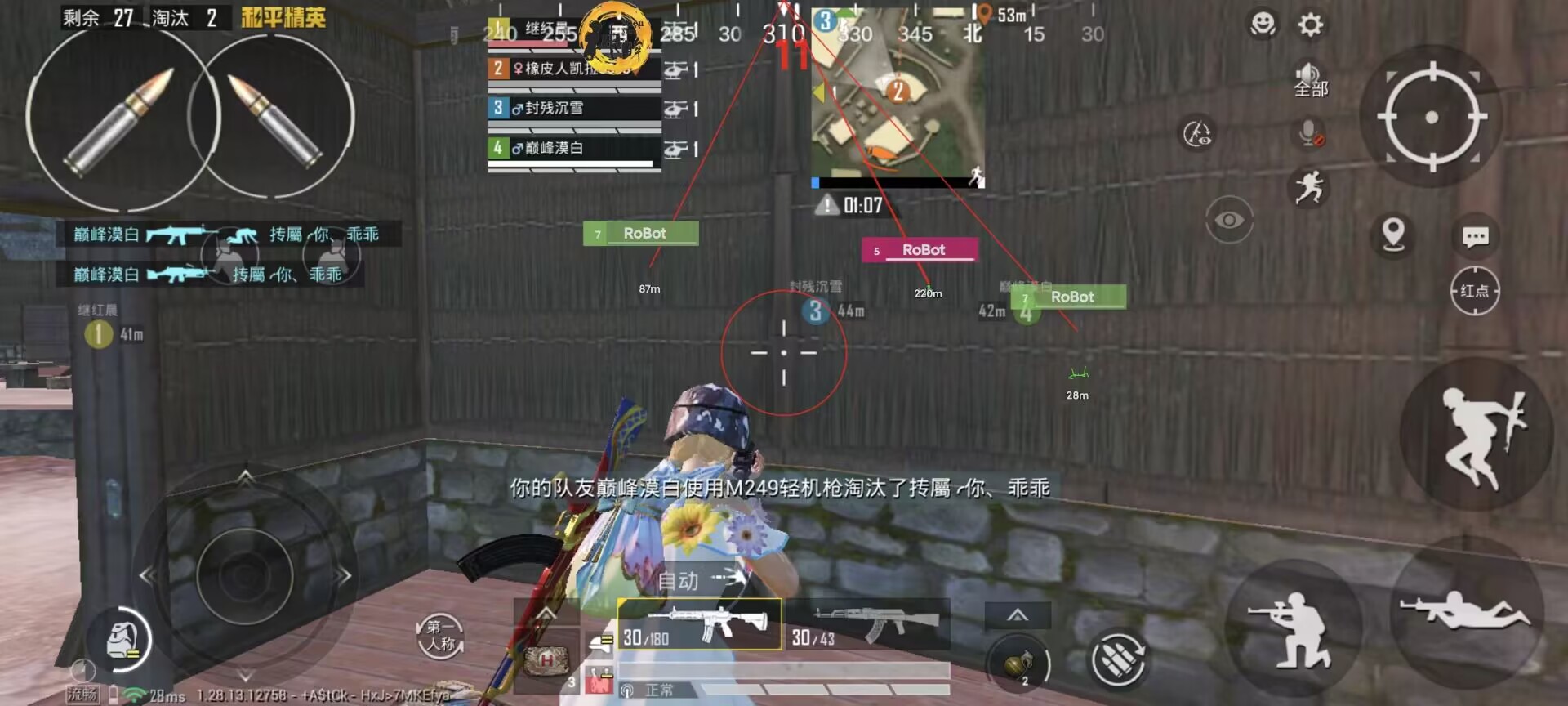 和平精英辅助【飞鸟】